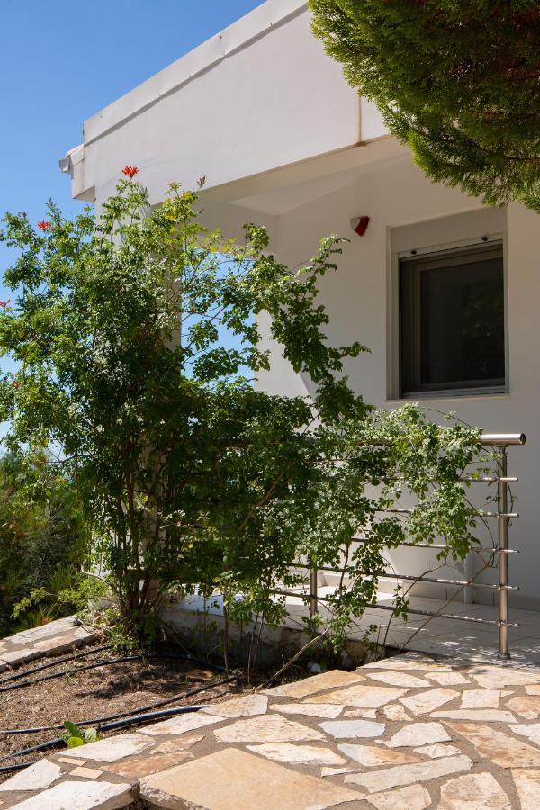 Dream View Villas Sivota  Exterior photo